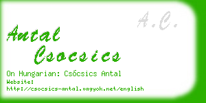 antal csocsics business card